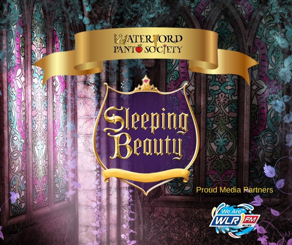 pantomime waterford christmas