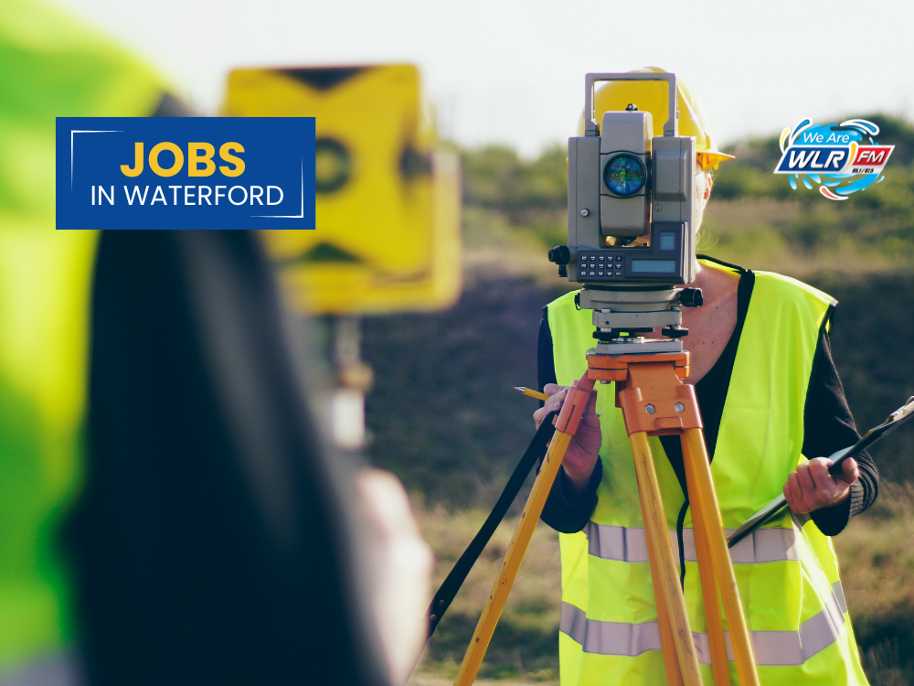 Quantity Surveyor planner curator