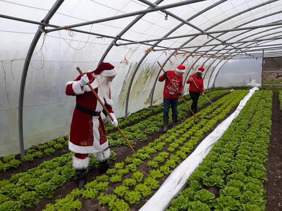 Christmas Appeal 100k