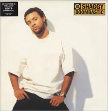 3 - Shaggy Boombastic