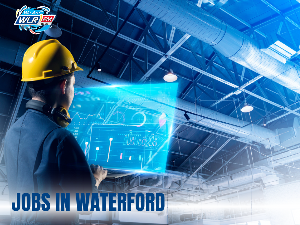 Mutiable Vacancies at Suir Engineering