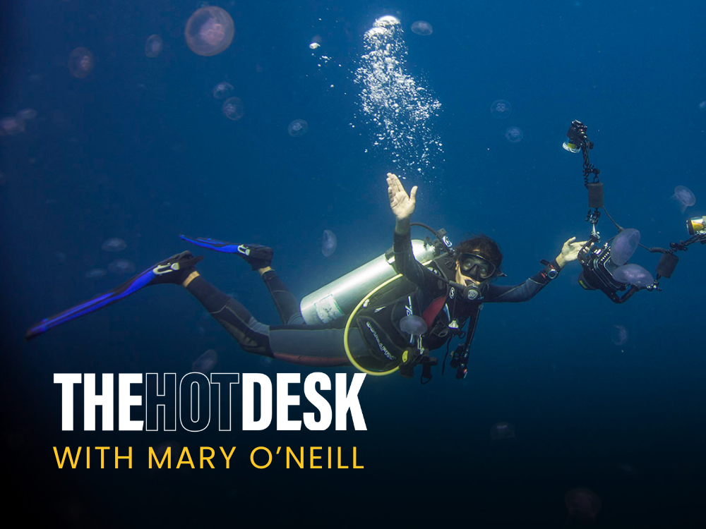 Hot Desk Nov 20th