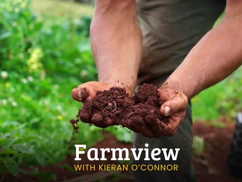 Farmview Jan 16th 2025