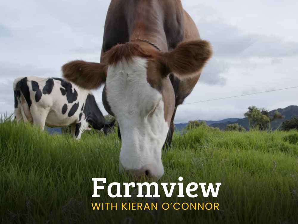 Farmview Jan 30th 2025