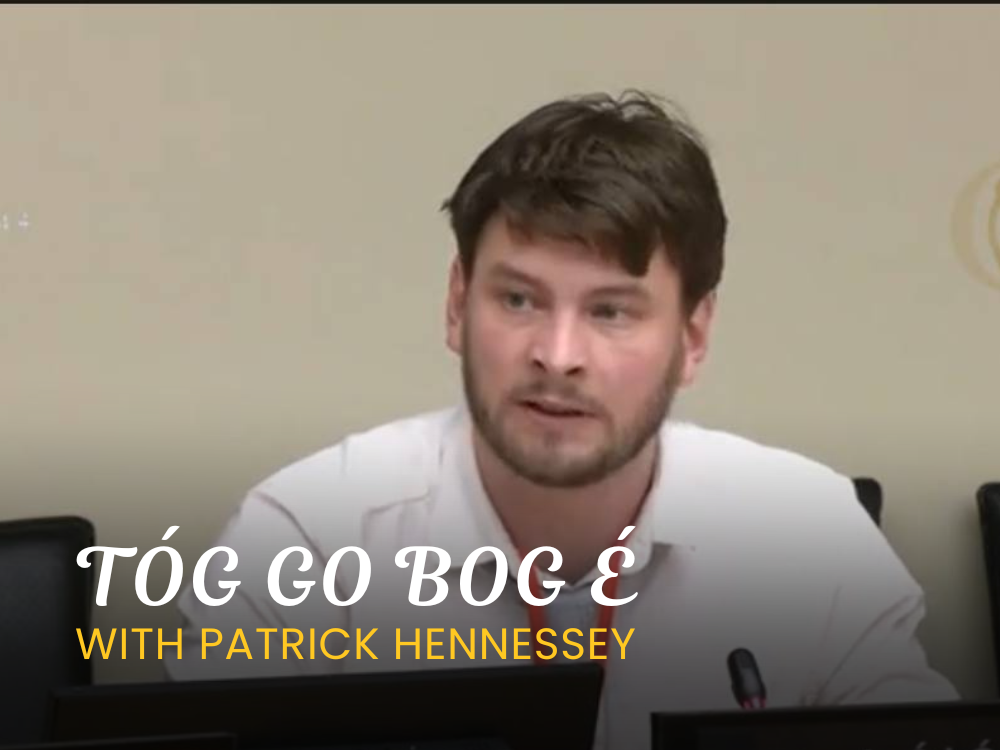 Tomás Ó hÓgáin Language
