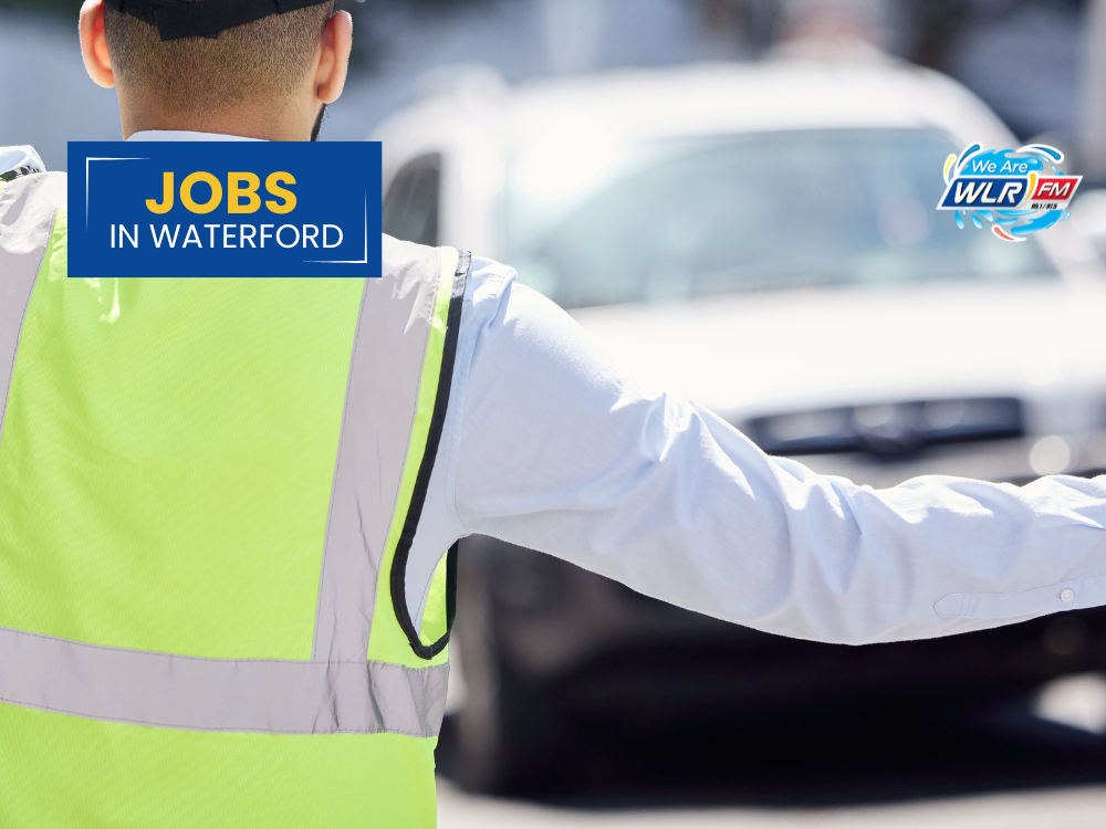 Engineer And Traffic Warden