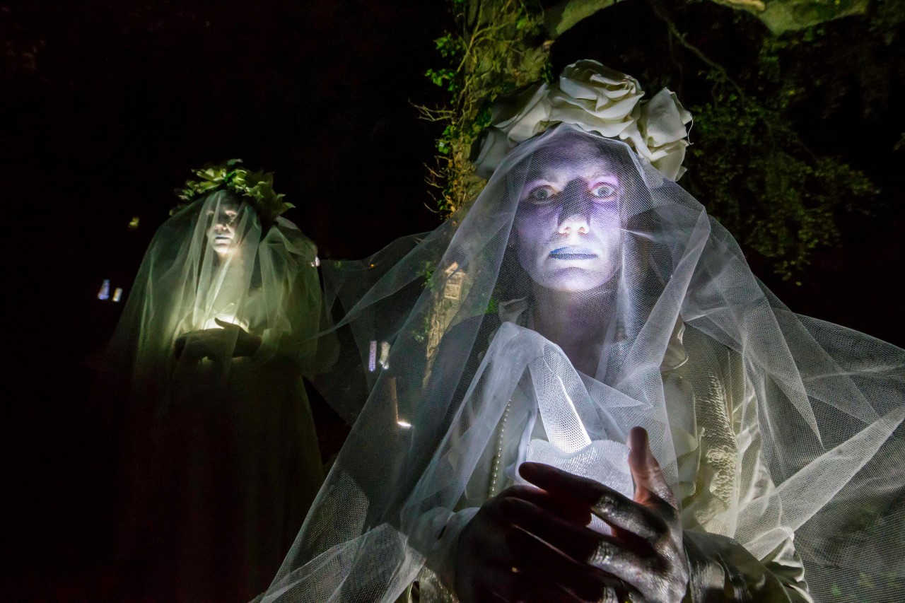 spraoi samhain waterford